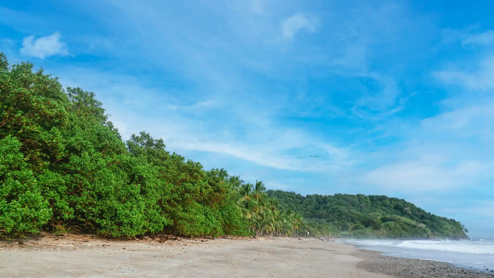 corozalito mar